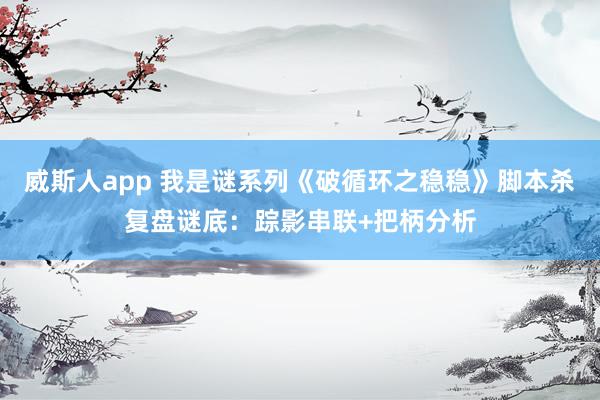 威斯人app 我是谜系列《破循环之稳稳》脚本杀复盘谜底：踪影串联+把柄分析