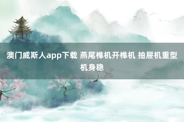 澳门威斯人app下载 燕尾榫机开榫机 抽屉机重型机身稳
