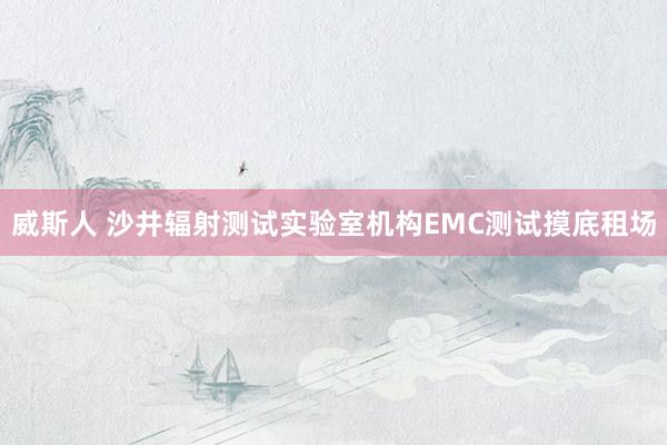 威斯人 沙井辐射测试实验室机构EMC测试摸底租场