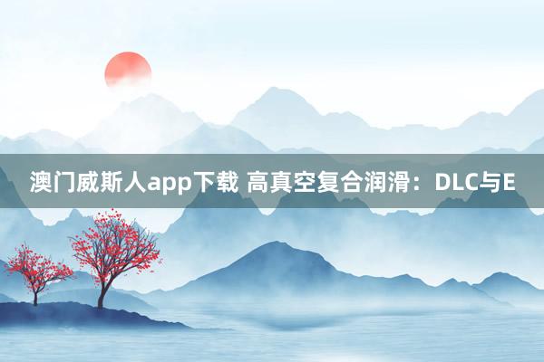 澳门威斯人app下载 高真空复合润滑：DLC与E