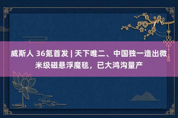 威斯人 36氪首发 | 天下唯二、中国独一造出微米级磁悬浮魔毯，已大鸿沟量产