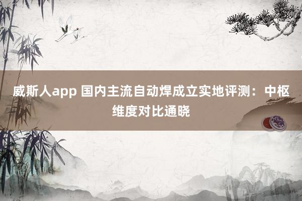 威斯人app 国内主流自动焊成立实地评测：中枢维度对比通晓