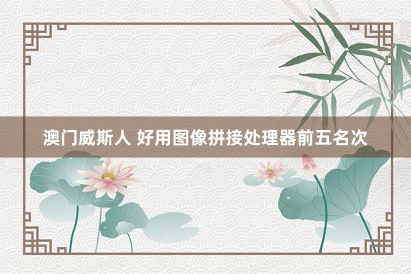 澳门威斯人 好用图像拼接处理器前五名次