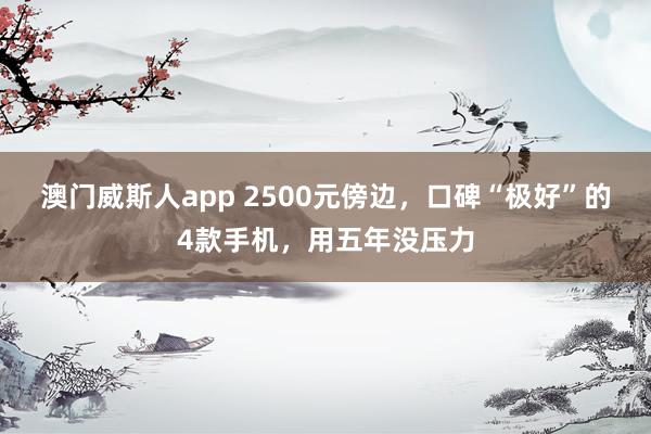 澳门威斯人app 2500元傍边，口碑“极好”的4款手机，用五年没压力