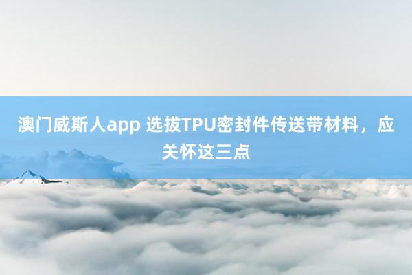 澳门威斯人app 选拔TPU密封件传送带材料，应关怀这三点