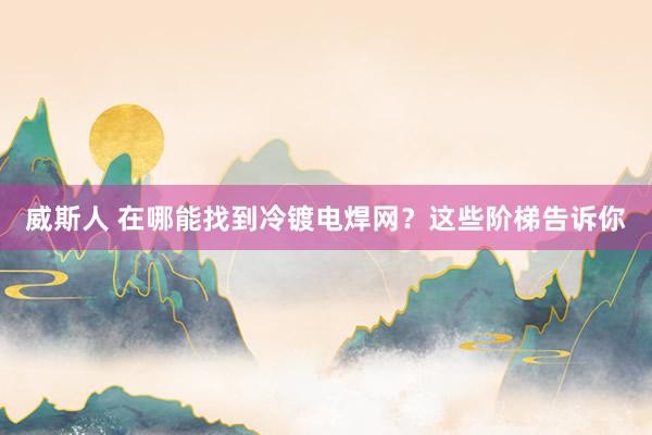 威斯人 在哪能找到冷镀电焊网？这些阶梯告诉你