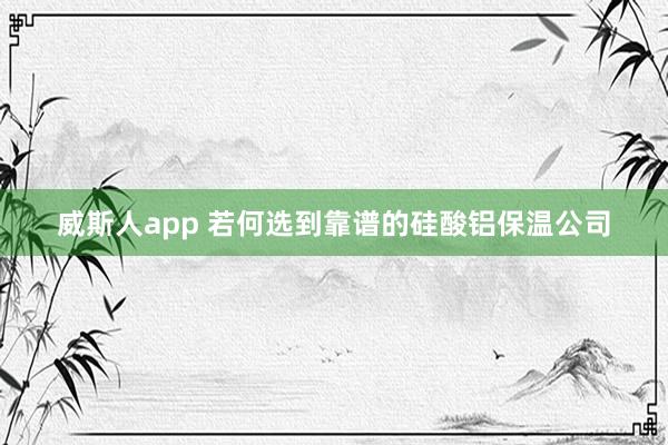 威斯人app 若何选到靠谱的硅酸铝保温公司