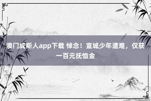 澳门威斯人app下载 悼念！宣城少年遭难，仅获一百元抚恤金