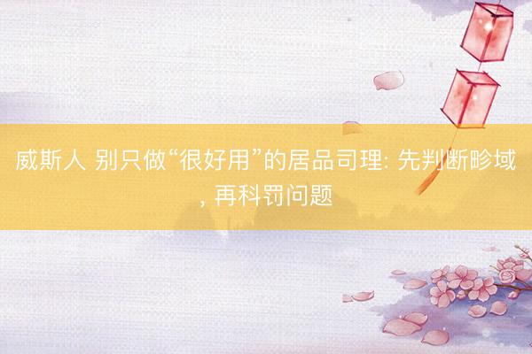 威斯人 别只做“很好用”的居品司理: 先判断畛域， 再科罚问题