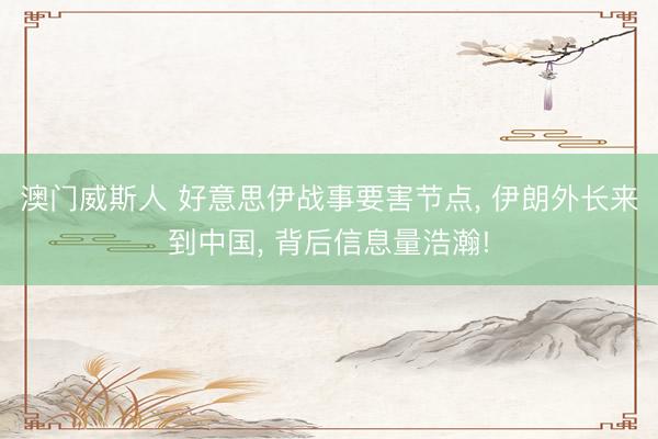 澳门威斯人 好意思伊战事要害节点， 伊朗外长来到中国， 背后信息量浩瀚!