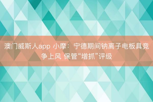 澳门威斯人app 小摩：宁德期间钠离子电板具竞争上风 保管“增抓”评级