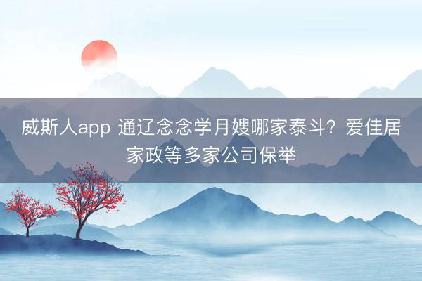 威斯人app 通辽念念学月嫂哪家泰斗？爱佳居家政等多家公司保举